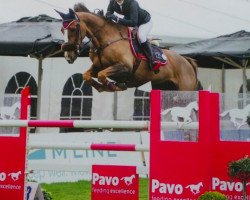 jumper Zelena (KWPN (Royal Dutch Sporthorse), 2004, from Baloubet du Rouet)