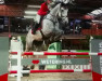 jumper Egwel (KWPN (Royal Dutch Sporthorse), 2009, from Singapore)