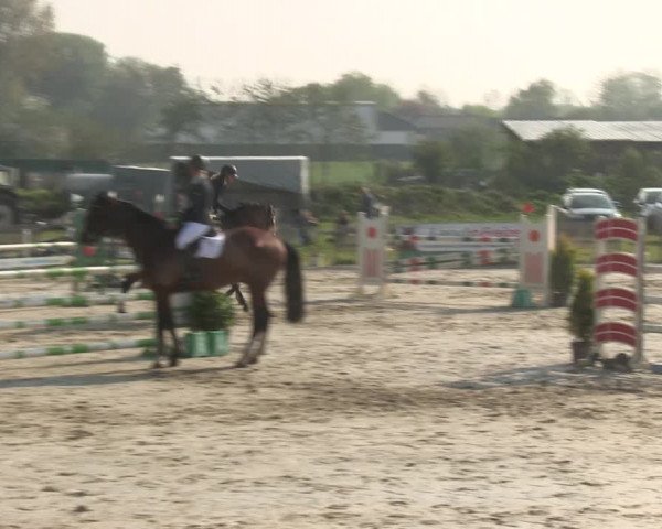 Reitturnier Schülp / Rendsburg 2019