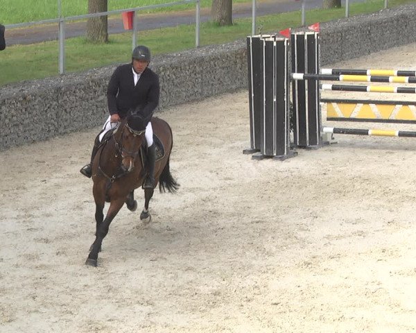 Reitturnier Ingolstadt-Hagau 2019