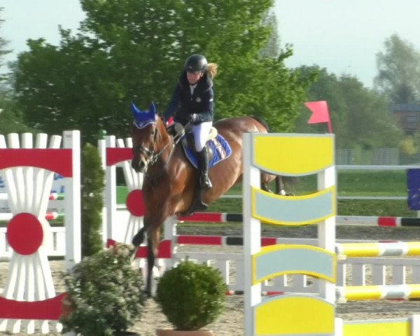 Reitturnier Langenau 2019