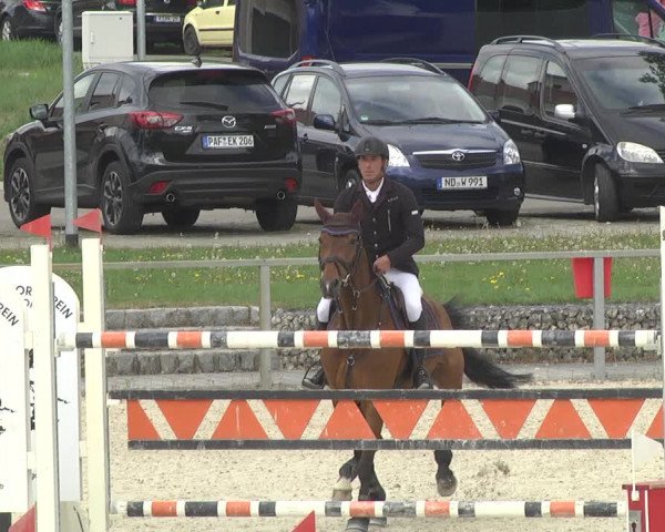 Reitturnier Ingolstadt-Hagau 2019