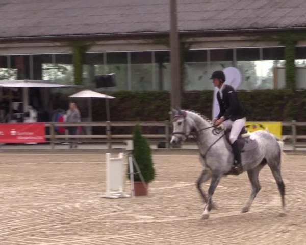 Reitturnier Nienberge 2019