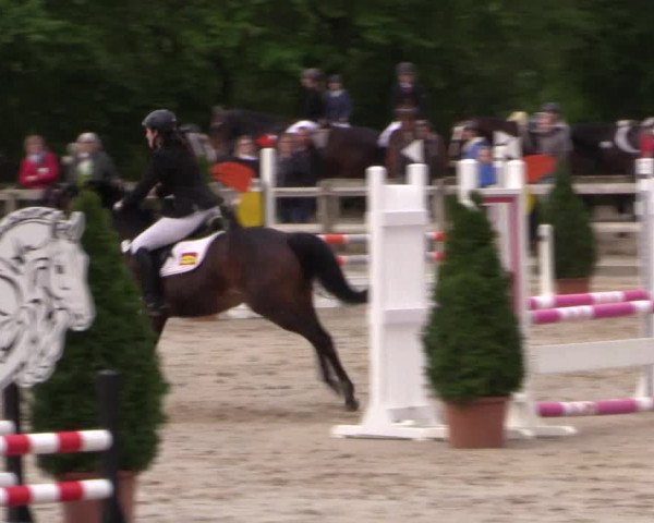 Reitturnier Nienberge 2019