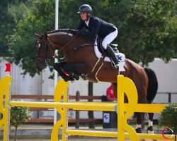 Springpferd Esprit de Longchamps (Belgium Sporthorse, 2010, von Gangster de Longchamps)