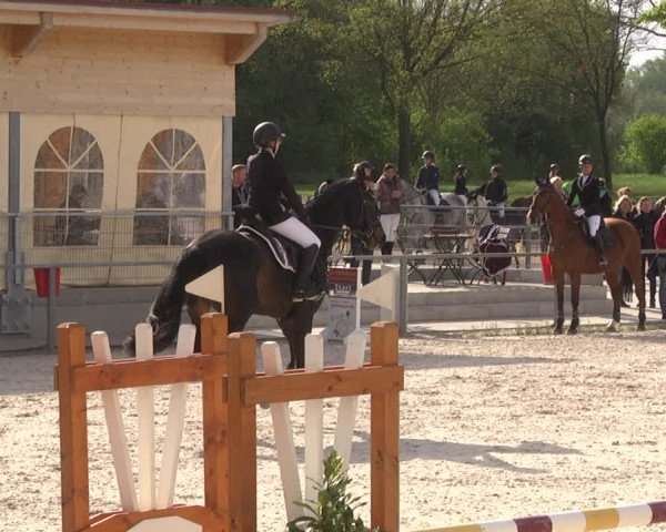 Reitturnier Ingolstadt-Hagau 2019