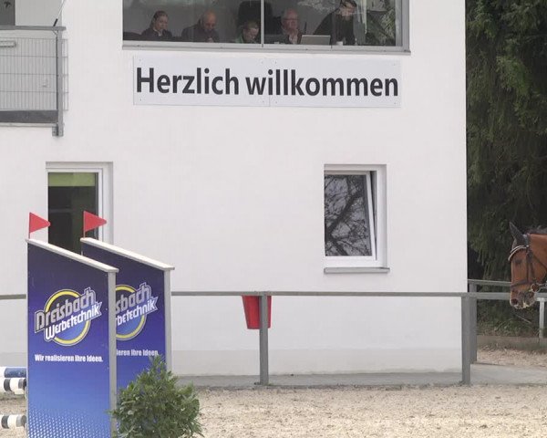 Reitturnier Ingolstadt-Hagau 2019