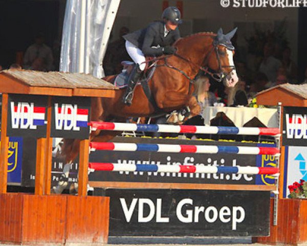 stallion Rexar du Houssoit (Belgian Warmblood, 2001, from Ksar Sitte)
