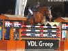 stallion Rexar du Houssoit (Belgian Warmblood, 2001, from Ksar Sitte)