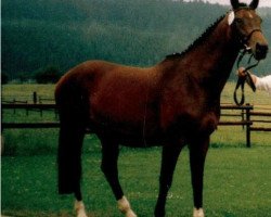 broodmare Gamine (Rhinelander, 1986, from Glücksklee)