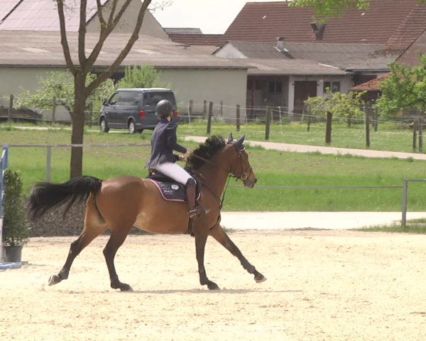 Reitturnier Ingolstadt-Hagau 2019