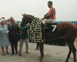 stallion Stage Door Johnny xx (Thoroughbred, 1965, from Prince John xx)