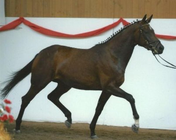 broodmare Principessa (Bavarian, 2007, from Don Argentinus)