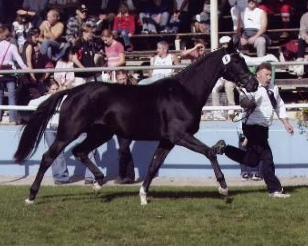 broodmare Prima Donna 39 (Bavarian, 2002, from Del Mondo)