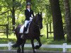 dressage horse Kania-Amy (Friese, 2011)