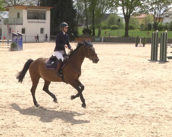 Reitturnier Ingolstadt-Hagau 2019