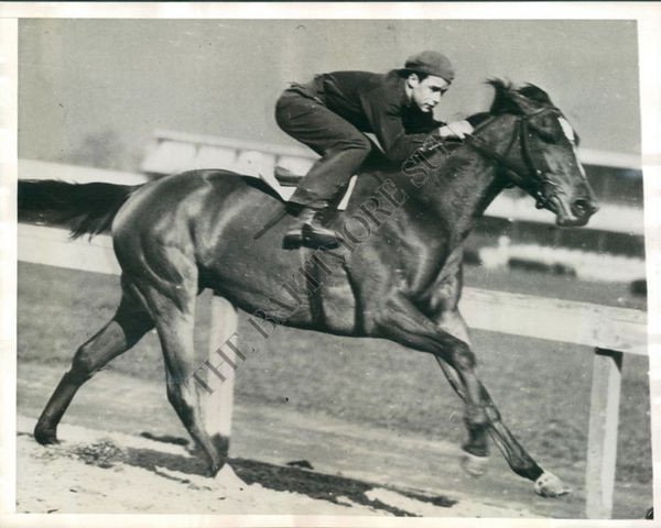 broodmare The Runner xx (Thoroughbred, 1955, from Olympia xx)