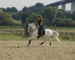 broodmare Karalyn (German Riding Pony, 1998, from Kaiserwalzer)