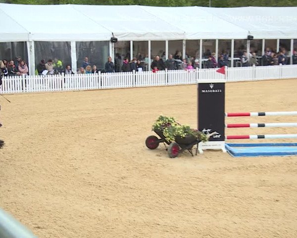 Osterspringen Amriswil 2019
