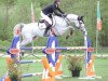 jumper Jasmin Af Hagalund (Swedish Warmblood, 2008, from Corlensky G)