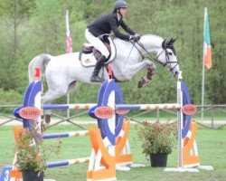 jumper Jasmin Af Hagalund (Swedish Warmblood, 2008, from Corlensky G)