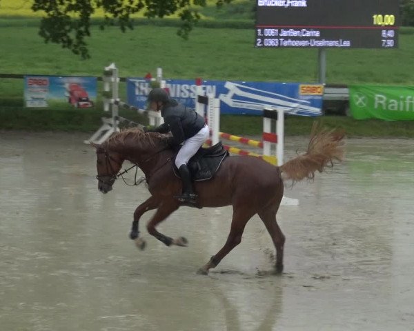 Reitturnier Xanten - Moermter 2019