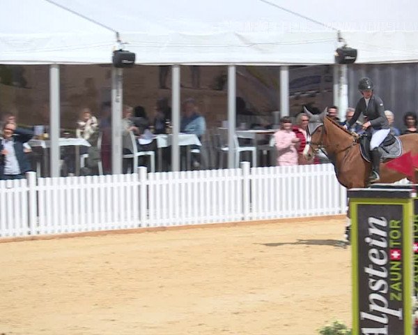 Osterspringen Amriswil 2019