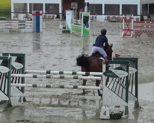 Reitturnier Xanten - Moermter 2019