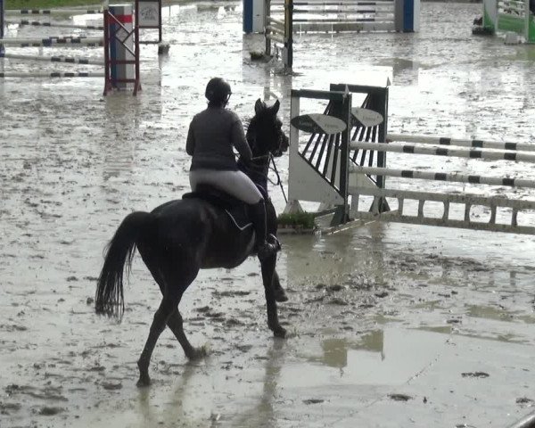 Reitturnier Xanten - Moermter 2019
