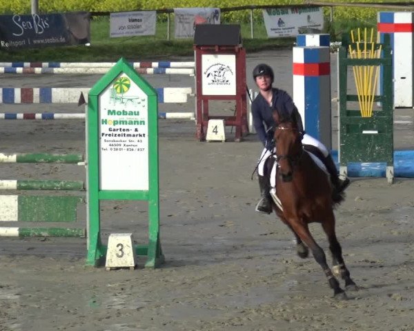 Reitturnier Xanten - Moermter 2019
