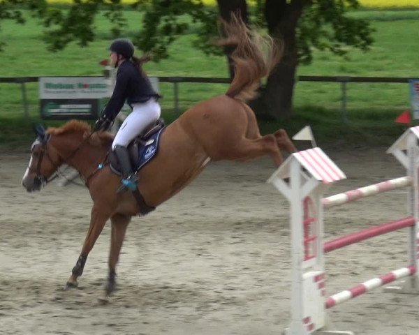 Reitturnier Xanten - Moermter 2019