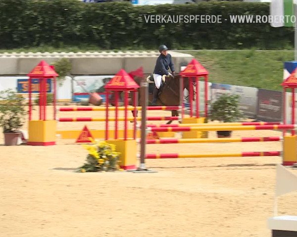 Osterspringen Amriswil 2019