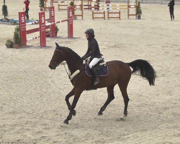 Reitturnier Ingolstadt-Hagau 2019
