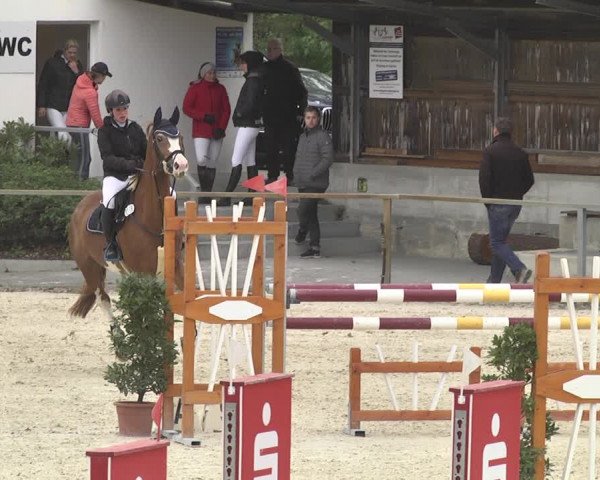 Reitturnier Ingolstadt-Hagau 2019