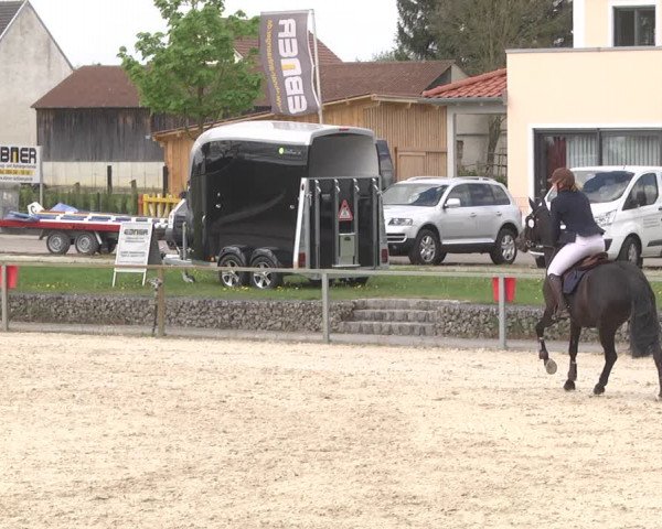 Reitturnier Ingolstadt-Hagau 2019