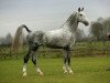 stallion Victory (KWPN (Royal Dutch Sporthorse), 2002, from Manno)