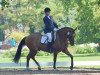 Dressurpferd Der kleine Gentleman (Deutsches Reitpony, 2011, von FS Don't Worry)