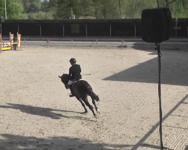 Reitturnier Ingolstadt-Hagau 2019