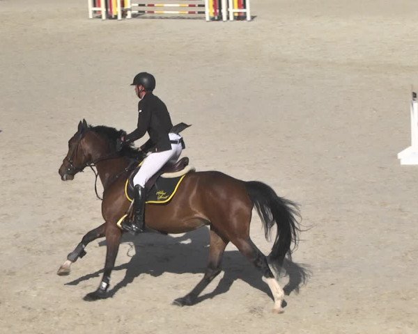 Reitturnier Ingolstadt-Hagau 2019