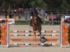 jumper Haya van het Suybrouck (Belgian Warmblood, 2007, from Tinka's Boy)