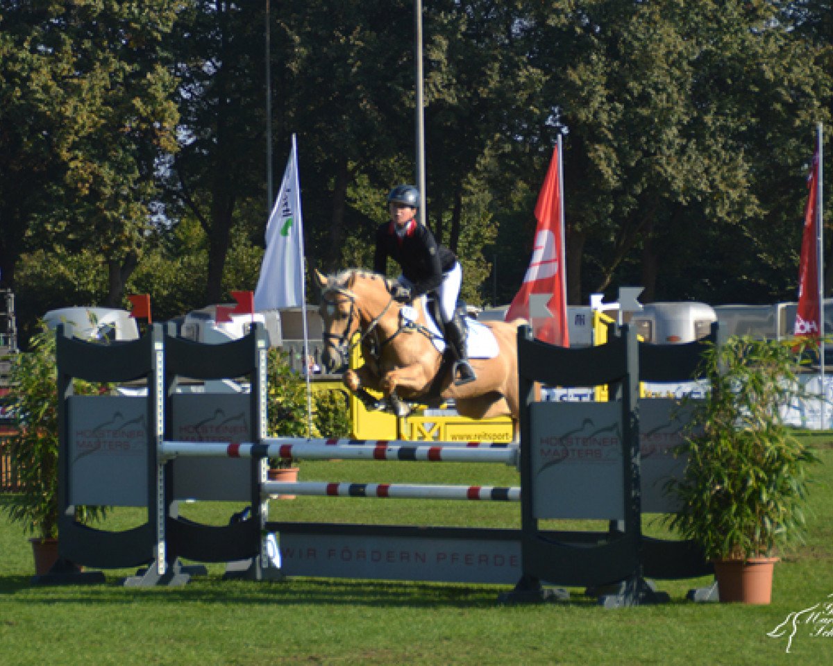 Zuchtstute Bianca 383 (Deutsches Reitpony, 2008, von St.Annens Henry N)
