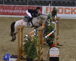 jumper Manni (German Riding Pony, 2009, from Eiluns Monopoly)