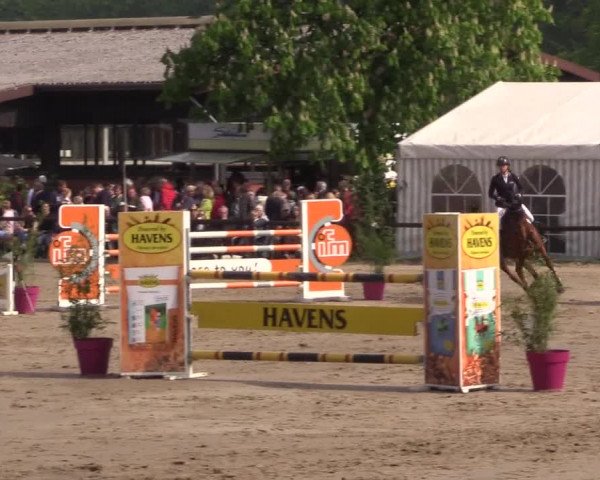 Reitturnier Havixbeck 2019