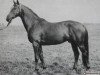 stallion Bulat (Great Poland (wielkopolska), 1967, from Haakon 1532)
