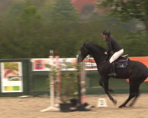 Reitturnier Langwedel - Hagen - Grinden 2019