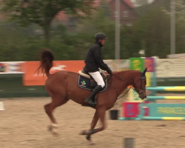 Reitturnier Langwedel - Hagen - Grinden 2019