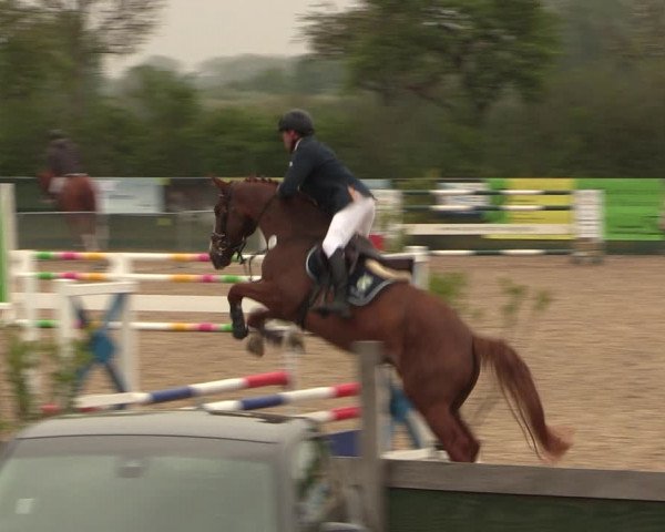 Reitturnier Langwedel - Hagen - Grinden 2019