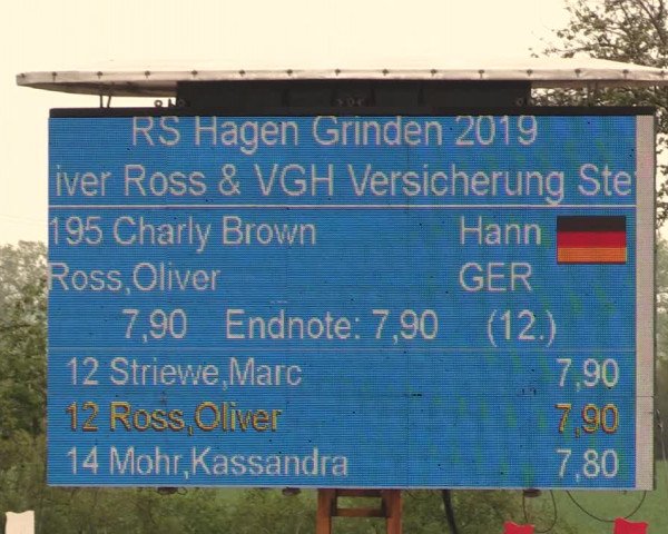 Reitturnier Langwedel - Hagen - Grinden 2019
