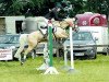 horse Master Boy 9 (German Riding Pony, 1986, from Made in Germany)