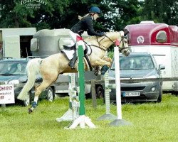 horse Master Boy 9 (German Riding Pony, 1986, from Made in Germany)